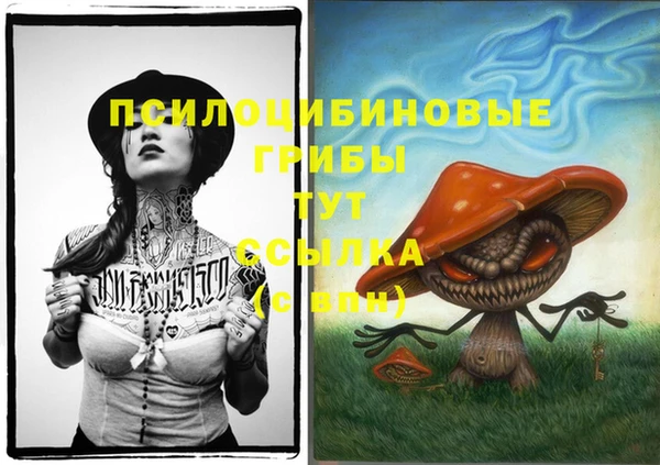 a pvp Беломорск