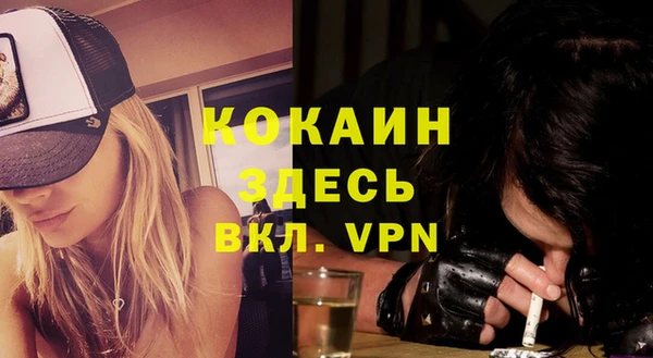 гашик Белокуриха